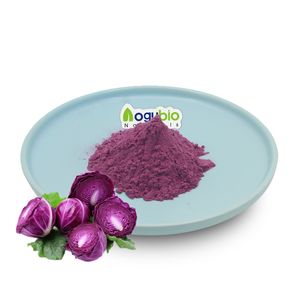 100% स्प्रे सुखाने बैंगनी गोभी रस पाउडर पानी में घुलनशील लाल गोभी रस पाउडर - Product Image 1