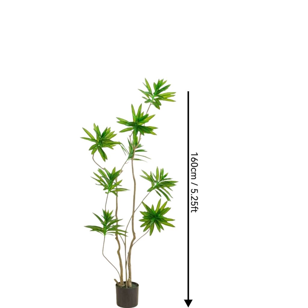 Vert 5,25 pieds/160 cm