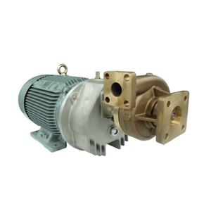 Cabezal de Bomba Eléctrica de Alta Calidad, 280 M, Bomba Criogénica de Acero Inoxidable para Transporte de Gas Natural Licuado - Product Image 1