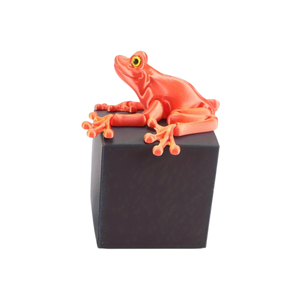 ของเล่นแอ็คชั่นฟิกเกอร์กบพลาสติกพิมพ์ 3 มิติ ข้อต่อหมุนได้และข้อต่อโค้งงอได้ - ของเล่นเสริมพัฒนาการสำหรับเด็ก - Product Image 5