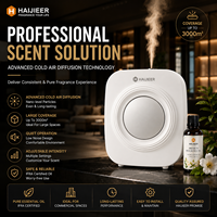Diffuseur d'huiles essentielles sans eau 200 ml, nébuliseur mural et de table, machine d'aromathérapie pour bureau, hôtel, maison
