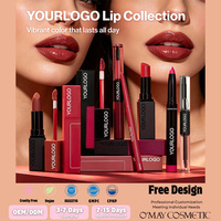 Gloss à lèvres longue tenue double embout avec logo personnalisé, finition brillante, haute pigmentation, hydratant, maquillage pour les lèvres en marque privée