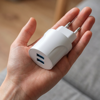 Prise murale standard européenne avec deux ports de charge USB-A DC 5V 2.4A Max, approuvée CE RoHS pour ordinateur portable/PC, caméra et téléphone portable