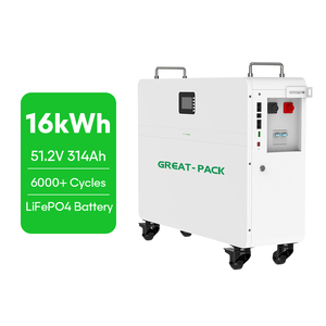 แบตเตอรี่แบบแยกส่วน 51.2V 314Ah 16kWh 8000 รอบการใช้งาน สำหรับโซลาร์เซลล์และระบบไฮบริดกริด ใช้ในบ้าน รองรับการสื่อสารแบบ CAN รับประกันนาน - Product Image 1