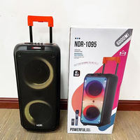Altavoz Karaoke Portátil Inalámbrico con Ruedas NDR-1095 con Woofer Doble de 8 Pulgadas, Micrófono Inalámbrico, para Fiestas, Escenarios, BT, Alta Potencia, DJ