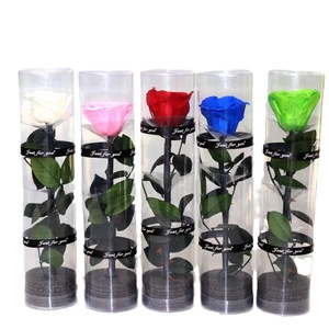 Nouveauté Boîte en PVC Roses Préservées avec Longue Tige Fleurs de roses éternelles simples pour la Saint-Valentin Fête des Mères Mariages de Noël - Product Image 1