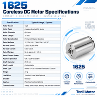 Moteur CC sans balais à noyau micro-coupe creuse 16 mm 3V-7.4V 0.1-6W à aimant permanent, faible bruit, pour pièce à main dentaire