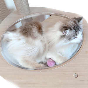 Fabrik Luxus große Größe moderne Holz Sisal Haustier Möbel Katze Aktivität Tower House Scratcher Tree für Indoor Cats - Product Image 6