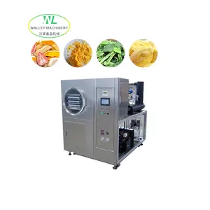 Customizing Small experimental freeze-drying machine for Shiitake mushroom/durian/dried fruit