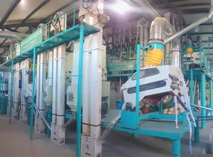 Automatic Capacity 30 Ton Per Day Steel Frame Structure Maize Flour Mill Plant Corn Flour Mill Plant