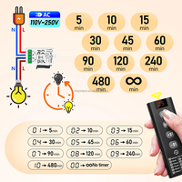 Interrupteur Minuteur Sans Fil 433 MHz avec Télécommande, 110V-220V 10A, Portée 50m, Système Maison Intelligente 1 Voie, Compte à Rebours 10 Niveaux