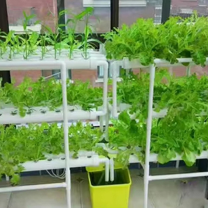Hydroponics Indoor Vertical CEA Planting <b>Rack</b> Shelf Small Greenhouse Grow Leafy Green Fruit Vegetables Easily Assembled Hydropon - Product Image 1