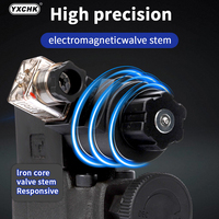 Vanne proportionnelle électrique de type Yuken S-BSG-03 2B3B-L-D24/2B3B-L-A220 YXCHK à 6 voies, pression 21 MPa, garantie 1 an