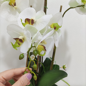 Real Touch <strong>Orchid</strong> Phalaenopsis Bonsai <strong>Artificial</strong> <strong>Orchids</strong> With Pot Real Touch <strong>Orchid</strong> <strong>Flower</strong> Pot for Decoration - Product Image 3