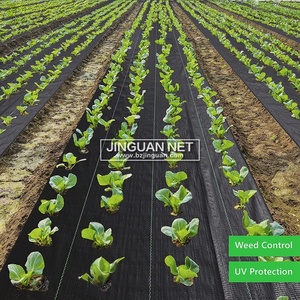 Weed Mat Weed Mat Agricultural Pe Anti Weed Mat