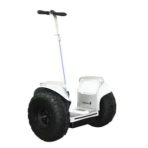 Eswing — scooter électrique à deux roues de 19 pouces, gyroscope à auto-équilibrage, pneus larges, caddie de golf