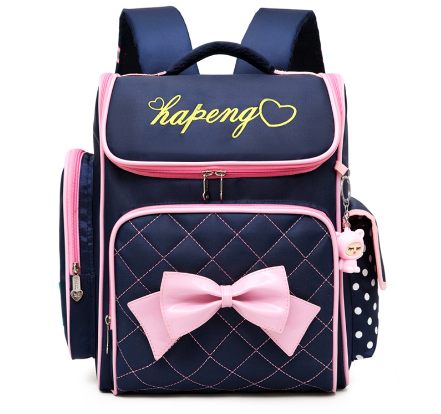 new model college bag