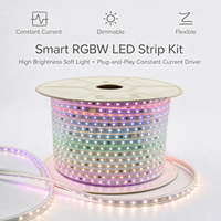 Tira de Luces LED RGB Direccionables IP67 a Prueba de Agua, AC110V 220V/DC24V, con WiFi y DMX, Sincronización Musical por Aplicación, para Paisajismo