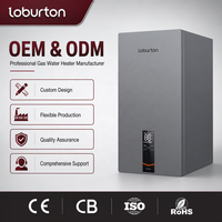 Chauffe-eau à gaz Loburton pour hôpitaux et cliniques, 99 kW, réservoir en acier inoxydable, chauffe-eau commercial et domestique au gaz naturel