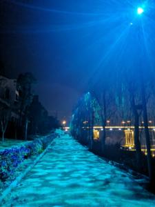 Iluminación de árboles con efecto de ondas de agua para proyecciones interactivas en jardines y eventos al aire libre - Product Image 1