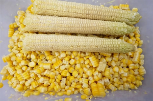 Mesin Perontok <span class=keywords><strong>Jagung</strong></span> Otomatis, Pengupas dan Pemisah Biji <span class=keywords><strong>Jagung</strong></span> - Product Image 2