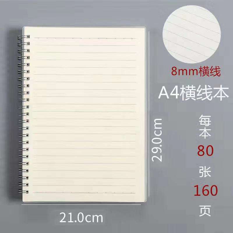 Rollover-a4 linea orizzontale-80