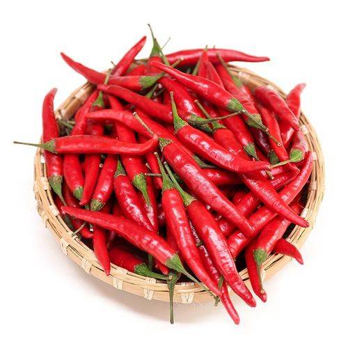 Чистый порошок экстракта капсаицина в капсаицине 95% 98%