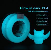Lyjenny Factory OEM/ODM Filamento de impresora 3D PLA Luminous Purple 175mm 1kg Eco-friendly Glow in Dark Fan's Choice 2025 más caliente