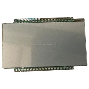 Módulo de Pantalla LCD OSD116072S0963-18 para Sistemas de Infoentretenimiento Automotriz - Product Image 1