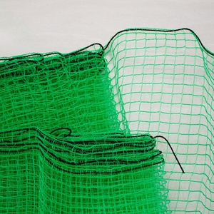 Vườn ong Nhà Máy Giá nông nghiệp Vườn Nho vườn cây trồng bảo vệ gà kiểm soát nhựa lưới 2m hàng rào động vật bằng chứng <span class=keywords><strong>Net</strong></span> - Product Image 2