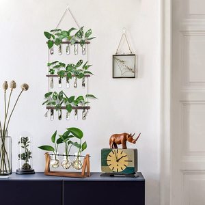 <span class=keywords><strong>Jardin</strong></span> Bureau Décoration AirPlants Cultiver terrarium mural suspendu pour plantes - Product Image 6
