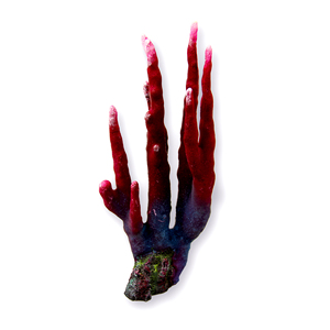 Good Price Resin Artificial <strong>Corals</strong> with Quality Warranty - Product Image 3