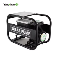 Pompe centrifuge solaire PMSM de surface haute puissance 6 pouces 5,5 CV 4 kW pour l'agriculture