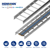 Hdmann IEC-Zertifizierte 500mm Korrosionsbeständige SS304 Edelstahl-Kabelleiter für Halbleiter-Fabrikverkabelung
