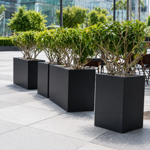 Jardinière rectangulaire en métal galvanisé de 1000 mm de long pour légumes, herbes, fleurs et succulentes - Product Image 5