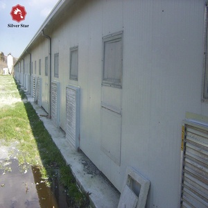 Nave para Pollos de Engorde para Equipos Avícolas Automatizados - Product Image 3