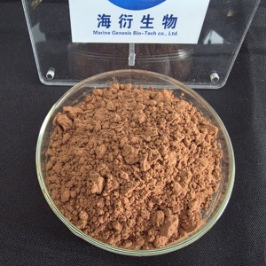 Wild Biologisch Kaneelboomhuid <span class=keywords><strong>Extract</strong></span> Poeder 8% Polyfenolen Natuurlijke Bloedsuikerondersteuning Kruidensupplement Veganistisch Vacuüm Verpakt - Product Image 3