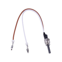 Bougie de préchauffage 12V pour chauffage diesel Eberspacher Hydronic D5WS D4WSC B5WSC, allumeur pour chauffage d'eau de stationnement auto/camping-car