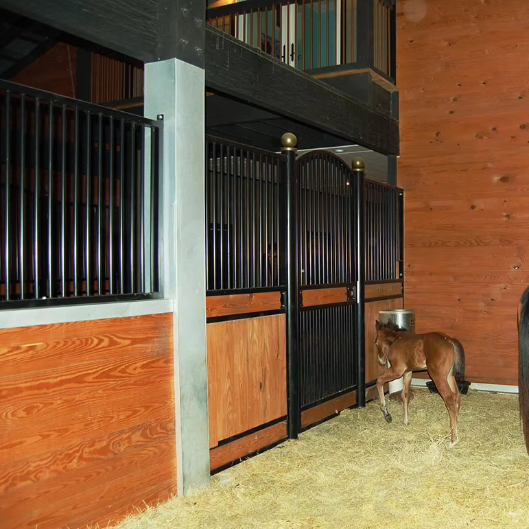 European Style Outdoor Horse Stable Equipment