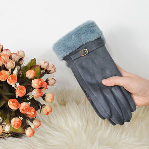 Wholesale Touch Screen Fashion Hot Sale Full Finger <b>Gloves</b> Winter Warm Woman Fashion Velvet Outdoor Winter Hand <b>Gloves</b> - Product Image 3