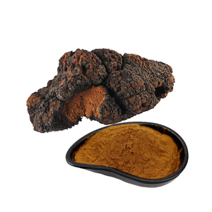 hochwertiges <span class=keywords><strong>Chaga</strong></span>-Pilzpulver aus <span class=keywords><strong>Chaga</strong></span>-Pilzen-Extrakt - Product Image 2