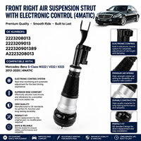 Amortiguador de Suspensión para Mercedes Benz OE 2223208013 2223209013 222320901389 A2223208013