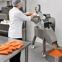 Hoge snelheid snijmachine voor groenten, fruit en vlees; geschikt voor het snijden van aardappel, wortel, mango, bevroren rundvlees en varkensvlees in blokjes.