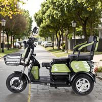 Gran oferta precio barato 600W 48V Ebike 3 ruedas triciclo eléctrico de largo alcance multifunción E-Bike bicicleta eléctrica de carga para adultos