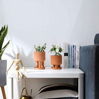 Bac à jardinage en terre brute pour plantes d'intérieur, Pots de fleurs en argile succulente avec soucoupe amovible