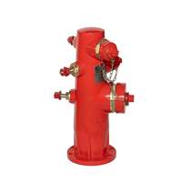   Hydrant d'incendie à corps humide de type américain DN150 avec sortie de tuyau de 2,5 pouces et raccord de pompe de 4,5 pouces