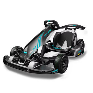 Gran Venta: Nuevo Go-Kart Eléctrico Pro 2021 del Fabricante Chino, Go-Kart de Carreras Eléctrico Barato para Adultos y Niños en Venta - Product Image 1