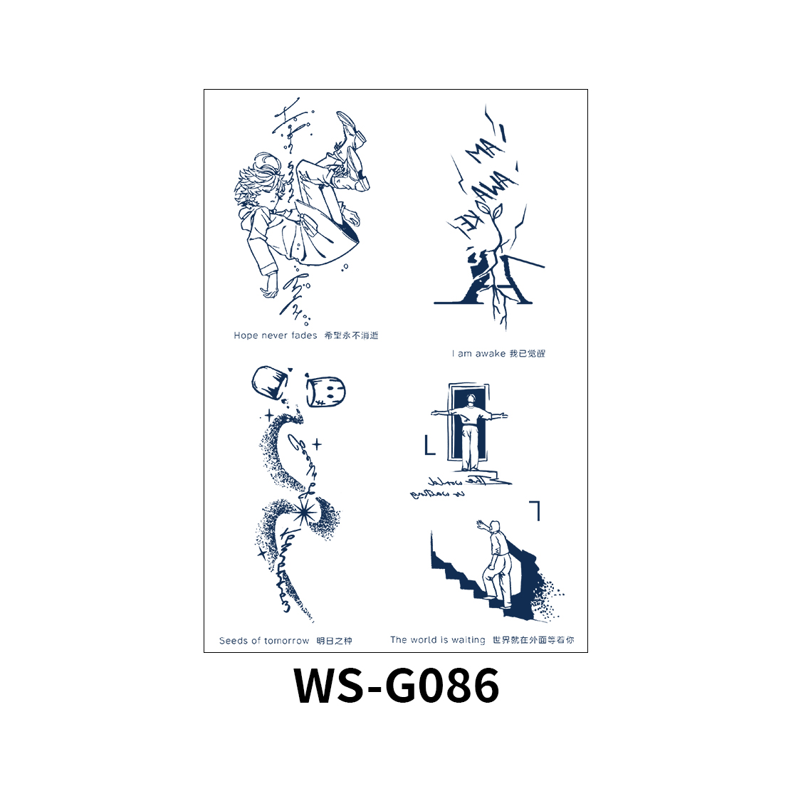 WS-G086