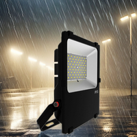 Projecteur LED YOUWIN 3030 SMD pour stade et tennis, 50W AC, certifié CE, IP65, blanc chaud, boîtier en PC, lentille en aluminium, CRI80, haute luminosité