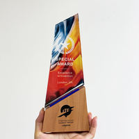Trophée en bois personnalisé à graver, trophée en verre cristal pour les rencontres sportives, cadeaux